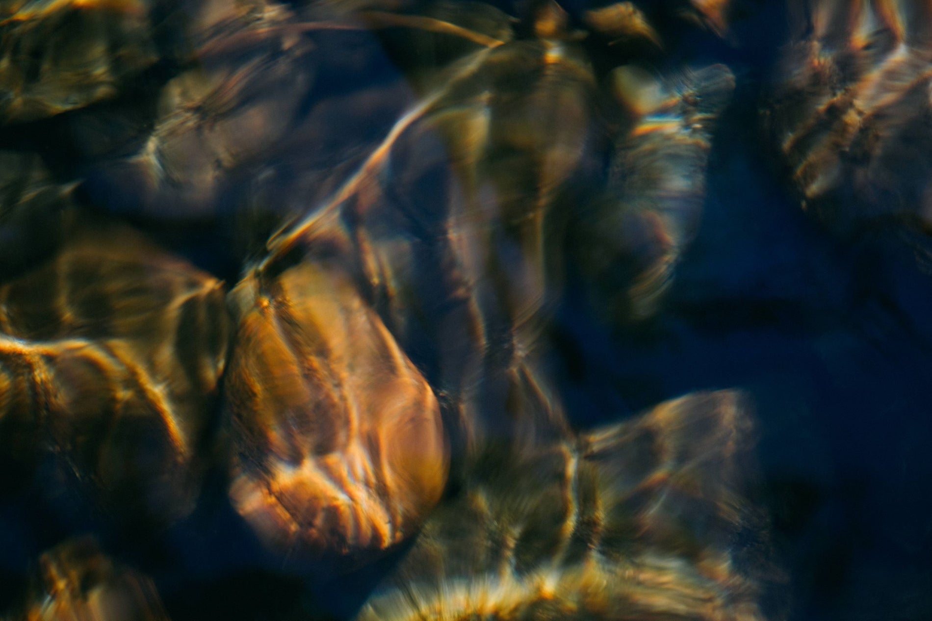 The Sacred Waters of Pannanich Wells