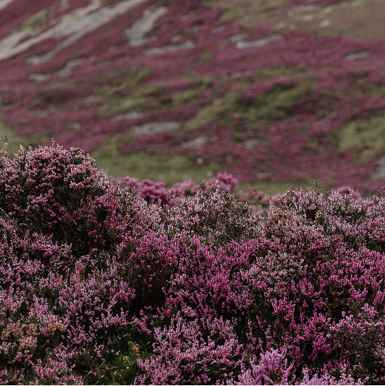 Proudly Scottish Skincare