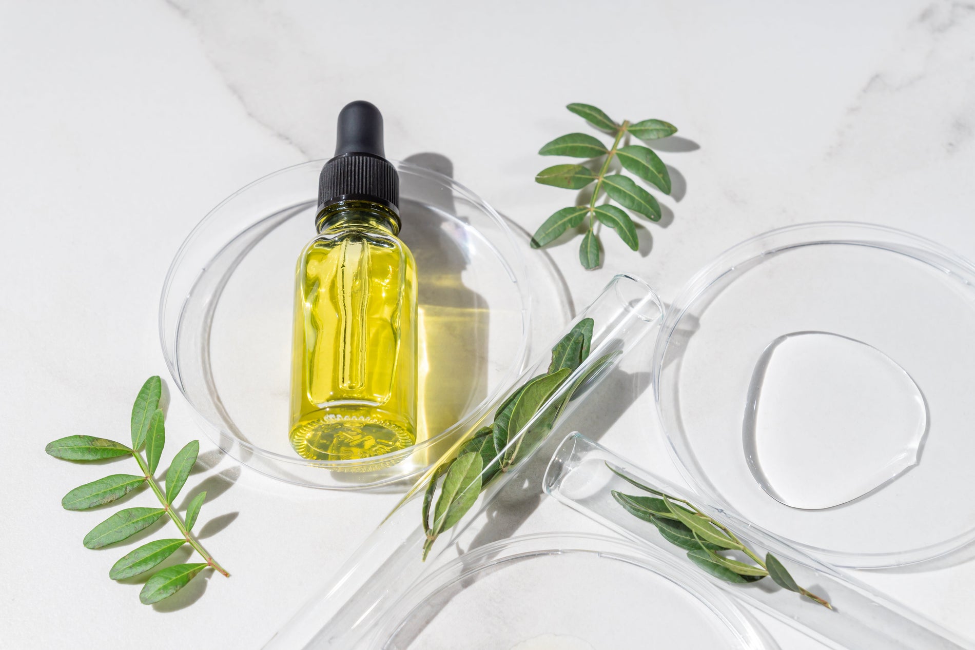 The Science and Clinical Evidence